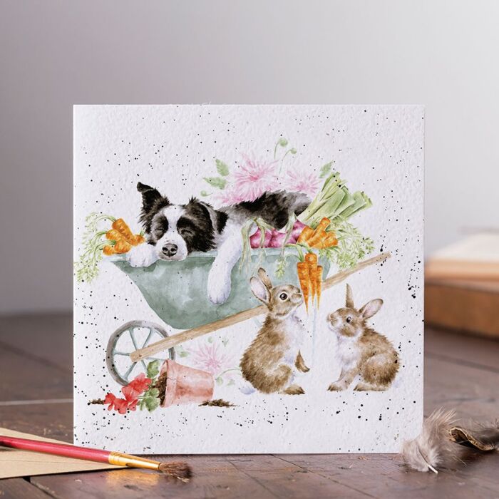 Wrendale Designs "Sleeping on the Job" Collie and Rabbit Card